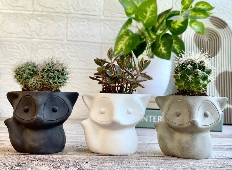 Snowcrete Cartoon Fox Succulent Planter Set - 3 Piece Mini Desktop Home Decor
