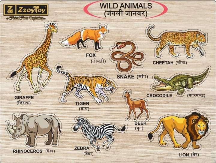 Zzoytoy Wooden Wild Animal Educational Knob Puzzle for Children