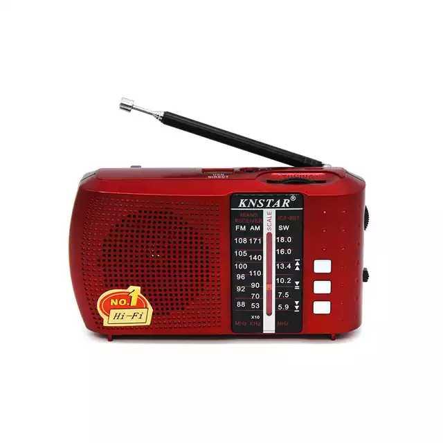 2019 New Mini Portable Am FM SW Radio Bt Wireless Radio With Usb/Tf Icf-8Bt