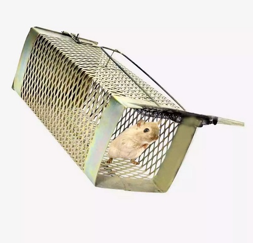Mouse Rat Rodents Trap, Catcher Museri Iron Made Big Size