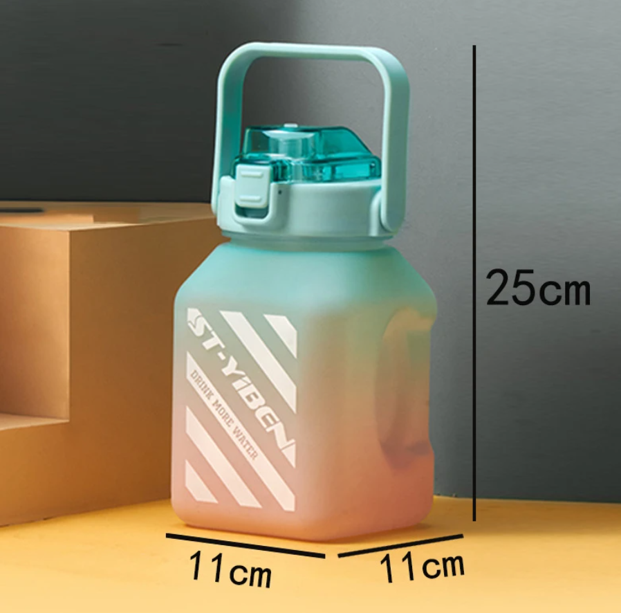 Water Bottle with Straw,Portable Leakproof BPA Free Square Carton Drinking Bottle with Handle for Gym School Outdoor