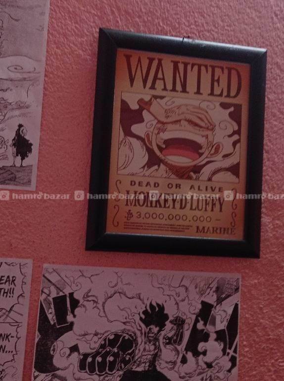 One piece|Monkey D. Luffy's new bounty