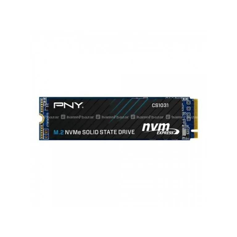 pny 256 GB NVME