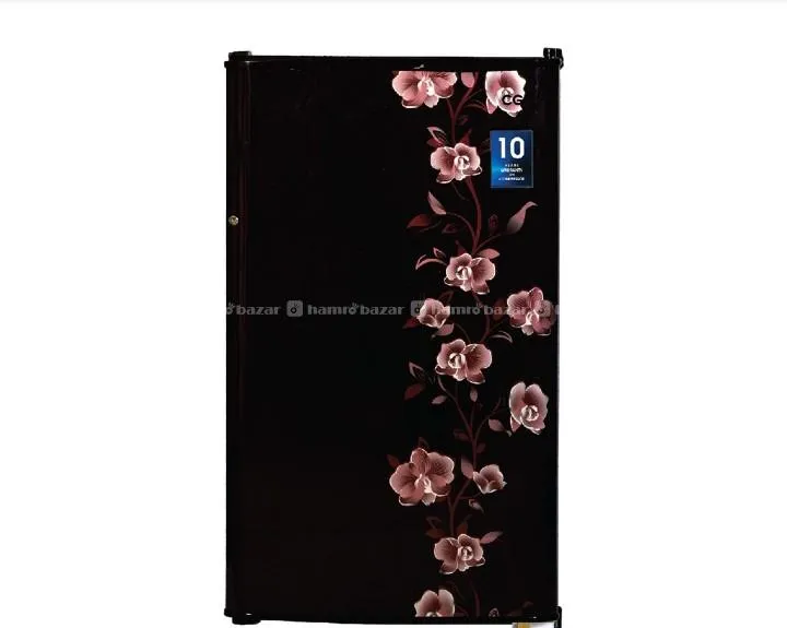 100 Liter Refrigerator Fridge Mini Freeze Fridge