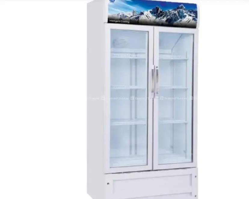 CG 540 LITER BIG SHOWCASE FREEZE CHILLER FRIDGE
