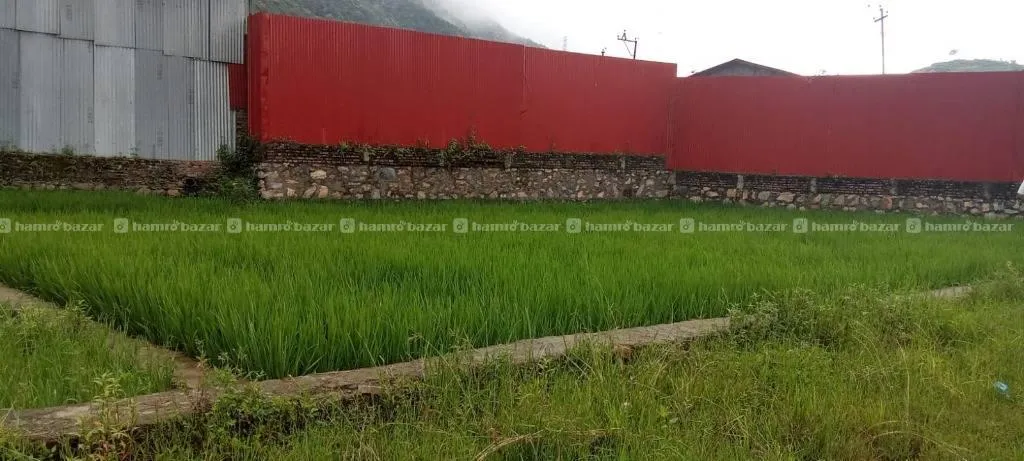 Land for Sale Thankot 2 plots of 3.5 aana!