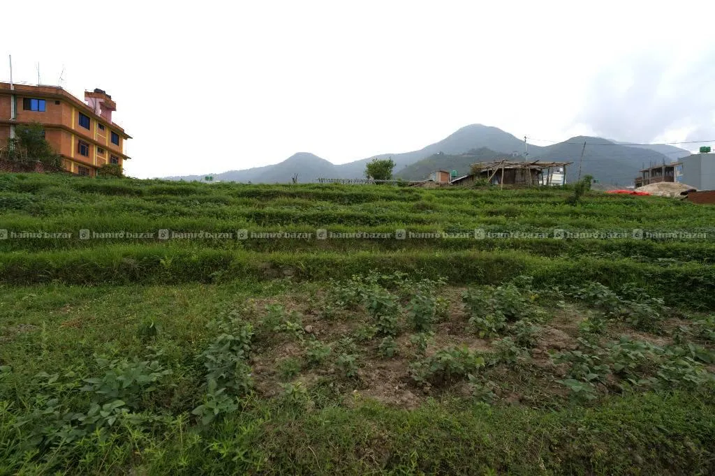 Land for Sale at Khatrichapp Dryport chovar
