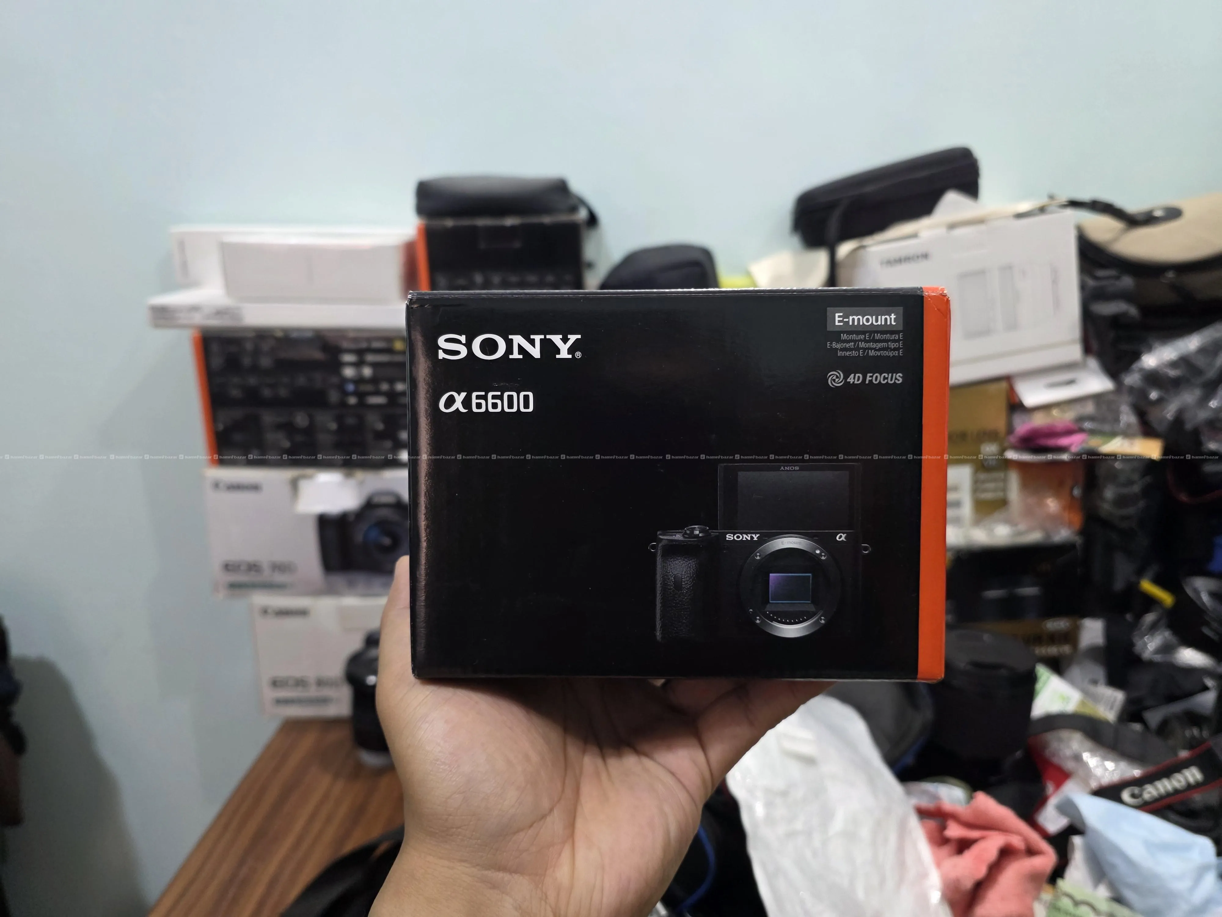 Sony A6600 Mirrorless Camera