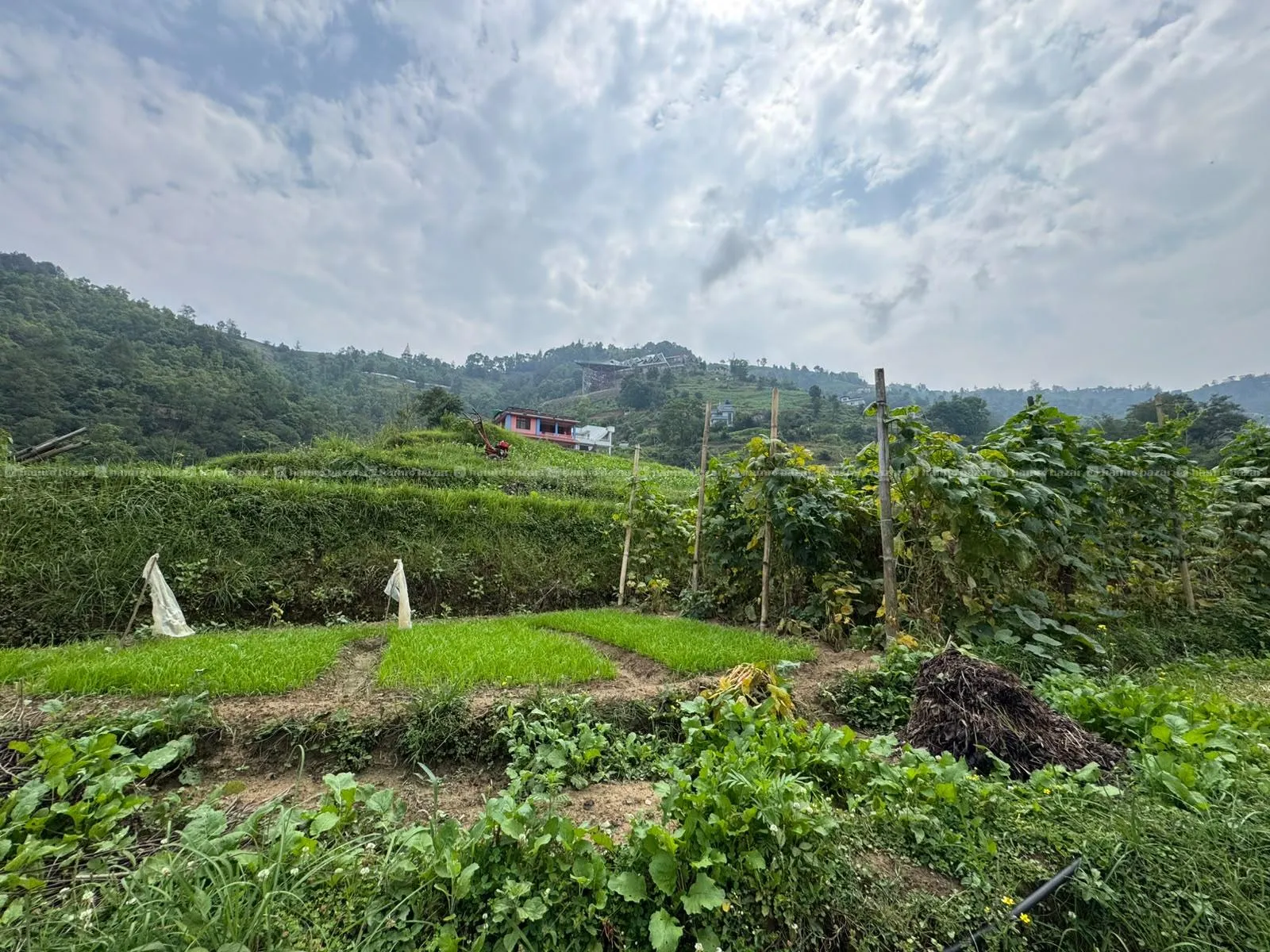 Land for sale at bhaktapur,gundu