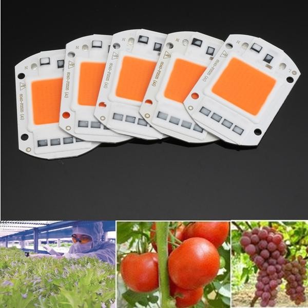 5Pcs 50W Full Spectrum COB LED Chip High Power 220V Flower Plant Grow Light Set -