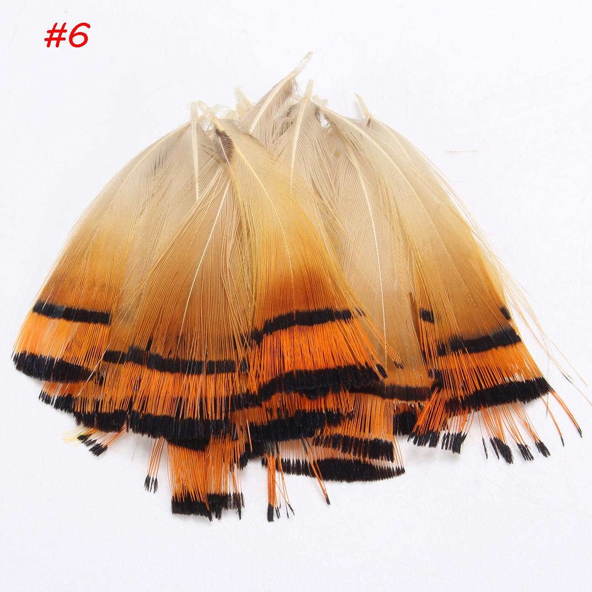 20 Pcs Beautiful Natural Pheasant Feathers Tail Assorted 4-11cm Crafts Trimmings No.6 - 6#