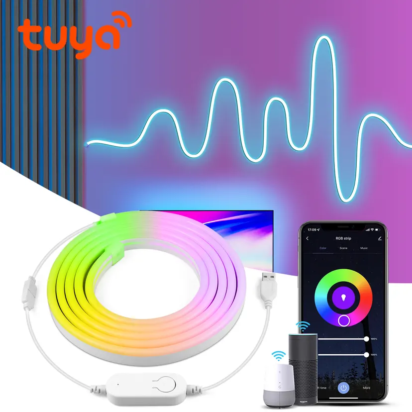 Tuya RGB LED Strip Neon Tape 12V Smart Bluetooth/WiFi APP Voice Control Lamp Ribbon Room Wall Decor for Tuya/Alexa/ Home