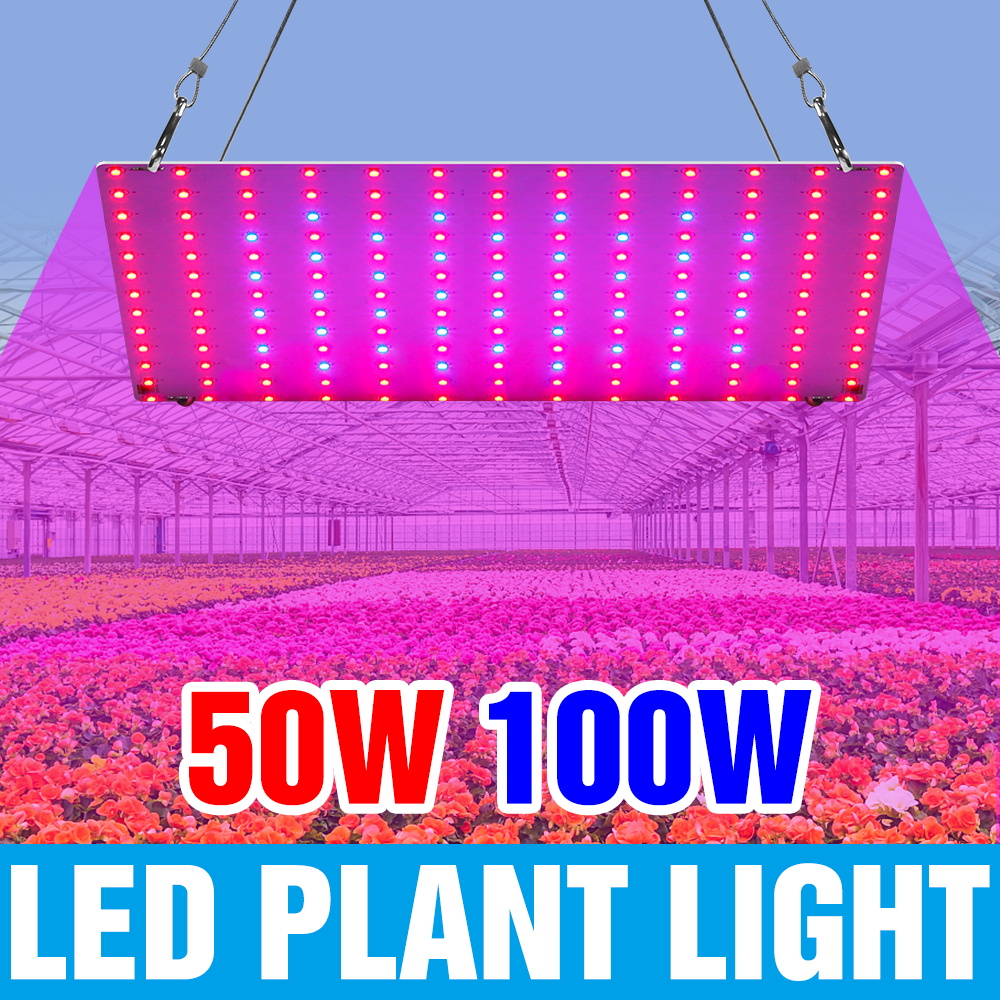 100W LED Full Spectrum Grow Lights Quantum Board Cultivation Lamp US/EU Plug For Indoor Fruit Greenhouse Tent Sapling Vegetables