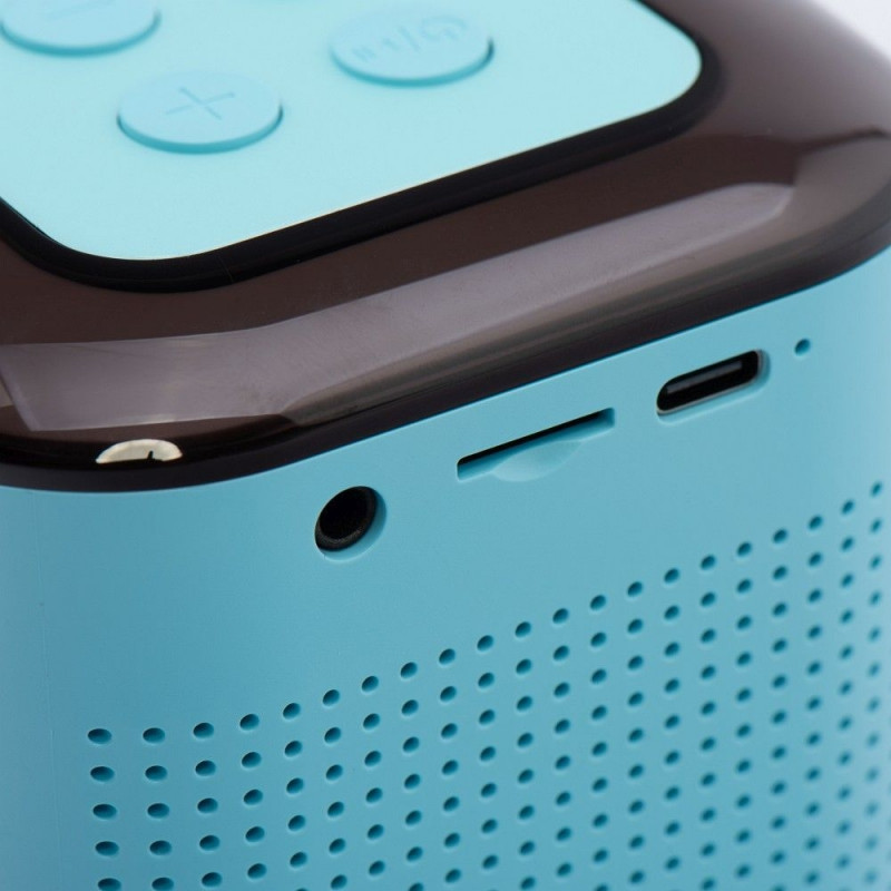 Premium Portable Karaoke Speaker | Karaoke Machine Toys, Portable Bluetooth Speaker | Bluetooth Karaoke Speaker with LED Disco Lights for Home Party