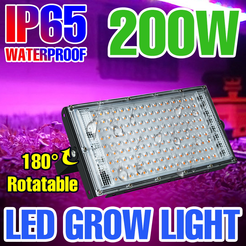 200W 100W LED E27/E26 Plant Grow Light Bulb Full Spectrum Hydroponics Lamps For Indoor Fruit Greenhouse Tent Succulent Cactus