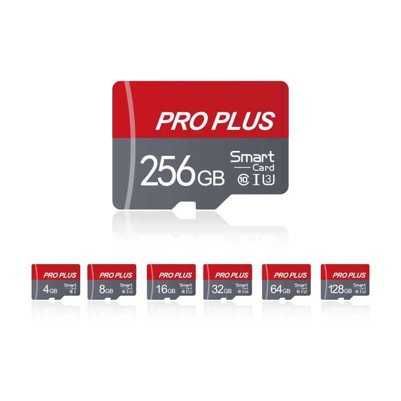 Micro TF/ SD Card Class 10 High Speed Memory Cards Stable Performance SD Memory Card for Phones/Digital Camera/MP3 Player
