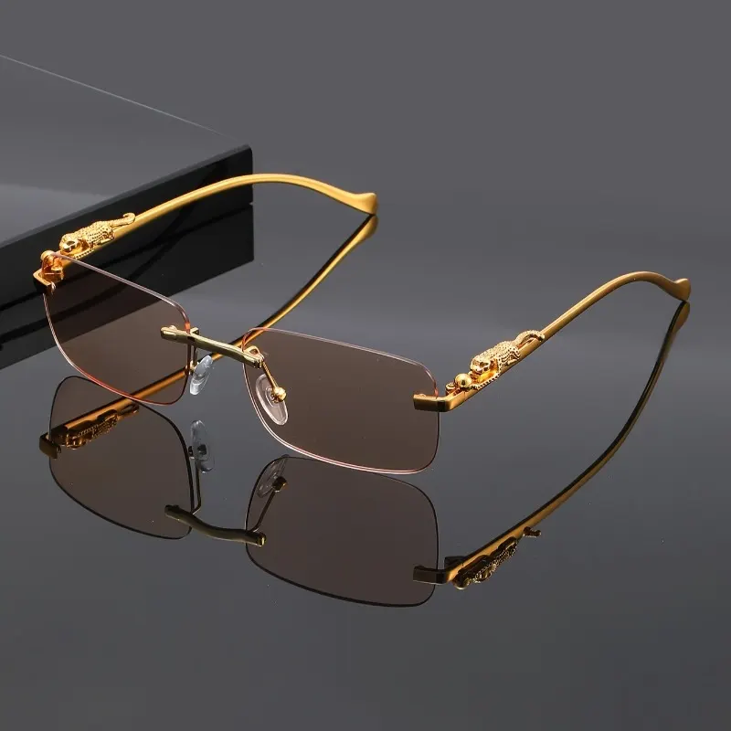 1pcs Unisex Metal Rimless Glasses Square Frame Clear Glasses for Cheetah Decoration Animal Accessories Street Snap