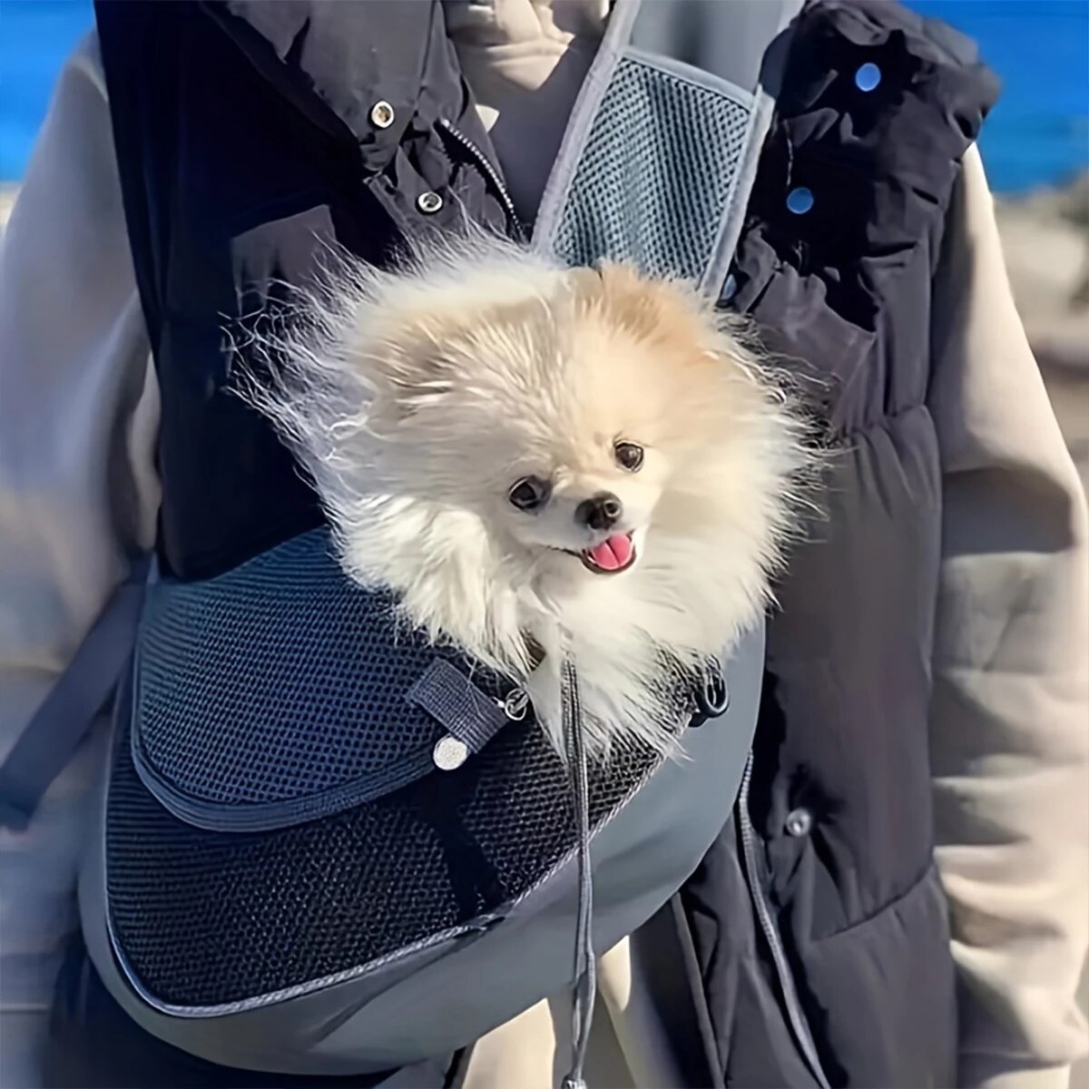 Portable Crossbody Cat Bag Small Pet Backpack for Going out Mesh Breathable Dog Backpack
