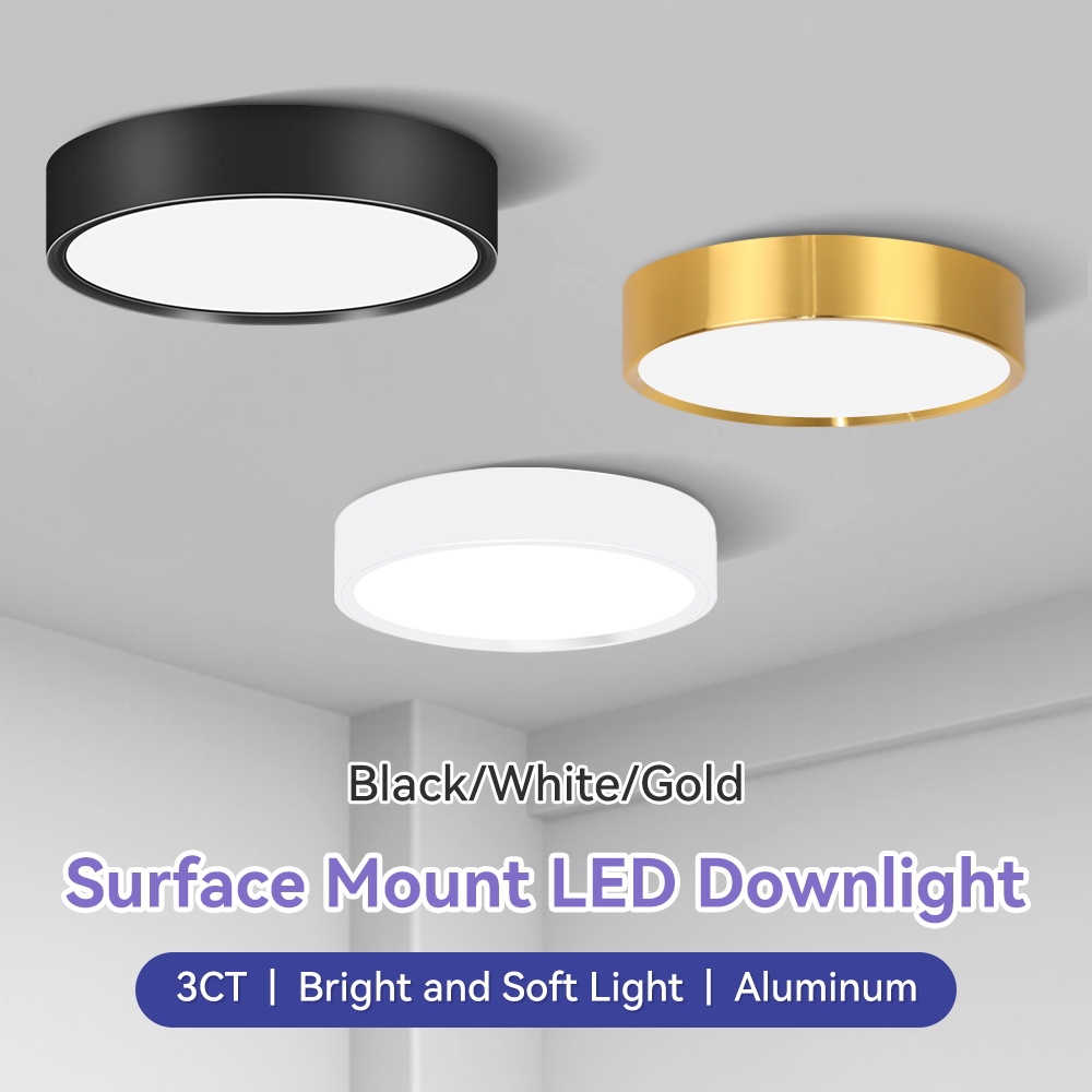 Led Downlight AC180-265V 25W 15W 10W 5W Ceiling Surface Mounted Spots Lamp for Home Kitchen Hallway Porch Stair LED Down Light
