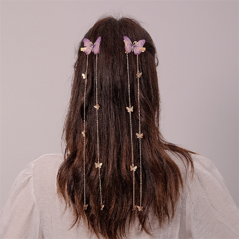 2PCS Girls Vintage Style,Gauze Butterfly Long Chain Grab Clip,Hair Clip,Casual Daily,Travel Hair Clip,Headwear