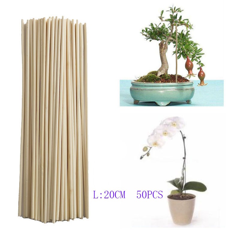 50PCS 20CM Bamboo Dowel Rods Natural Unfinished Sticks for Crafting Project DIY Home Decoration Photo Painting Props