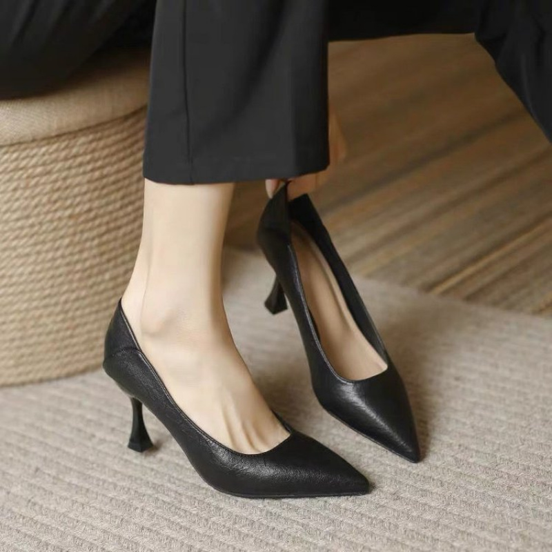 2026 New Pointed Toe Soft Sole Outdoor Elegant High Heels for Women, Fashion Ladies Stiletto Pumps