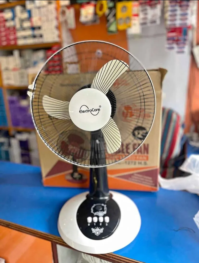 Electrocare Fan 12 Inches High Speed