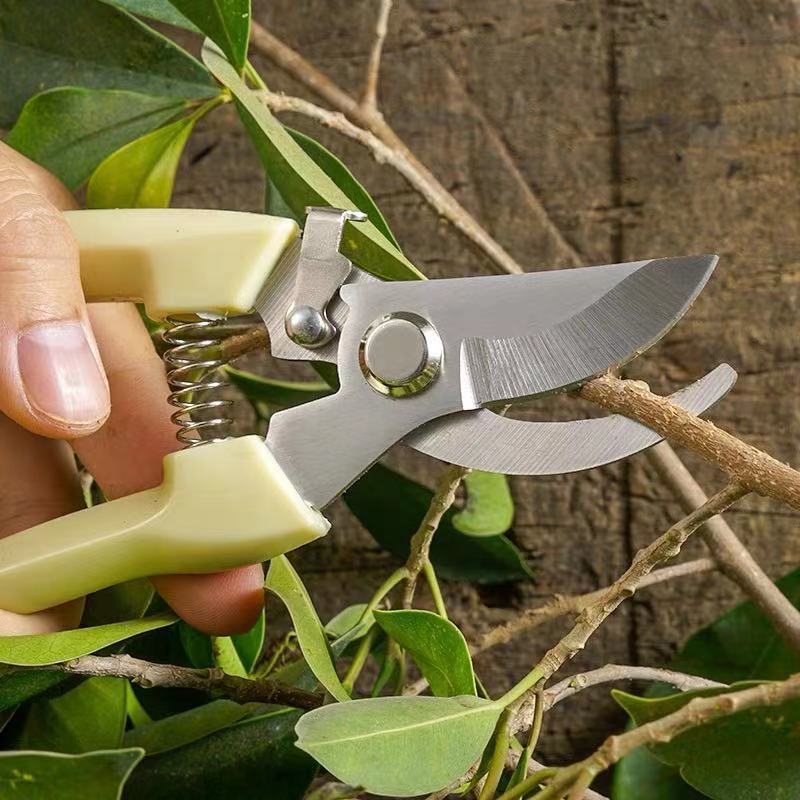 Powerful stainless steel pruning shears, portable outdoor sharpening stone, handheld knife sharpener, specialized branch shears