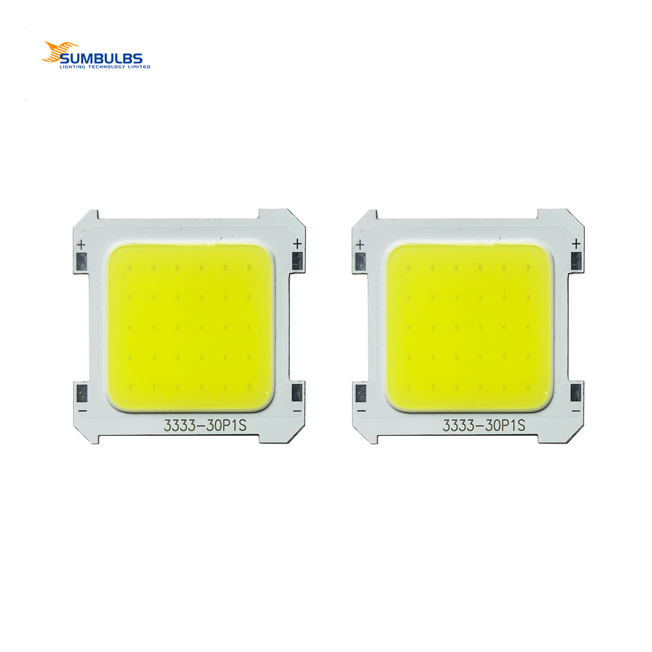 2PCS Packing White Color Integrated COB LED 5W 3V High Brightness for Spotlight Light Portable Camping Light LED Accessories