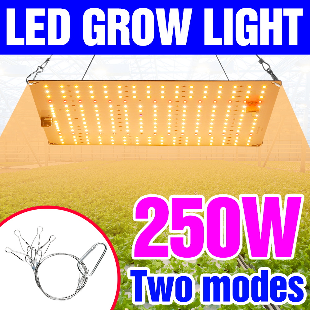 250W LED Full Spectrum Grow Lights Quantum Board Cultivation Lamp US/EU Plug For Indoor Flower Greenhouse Moss Cactus Vegetables