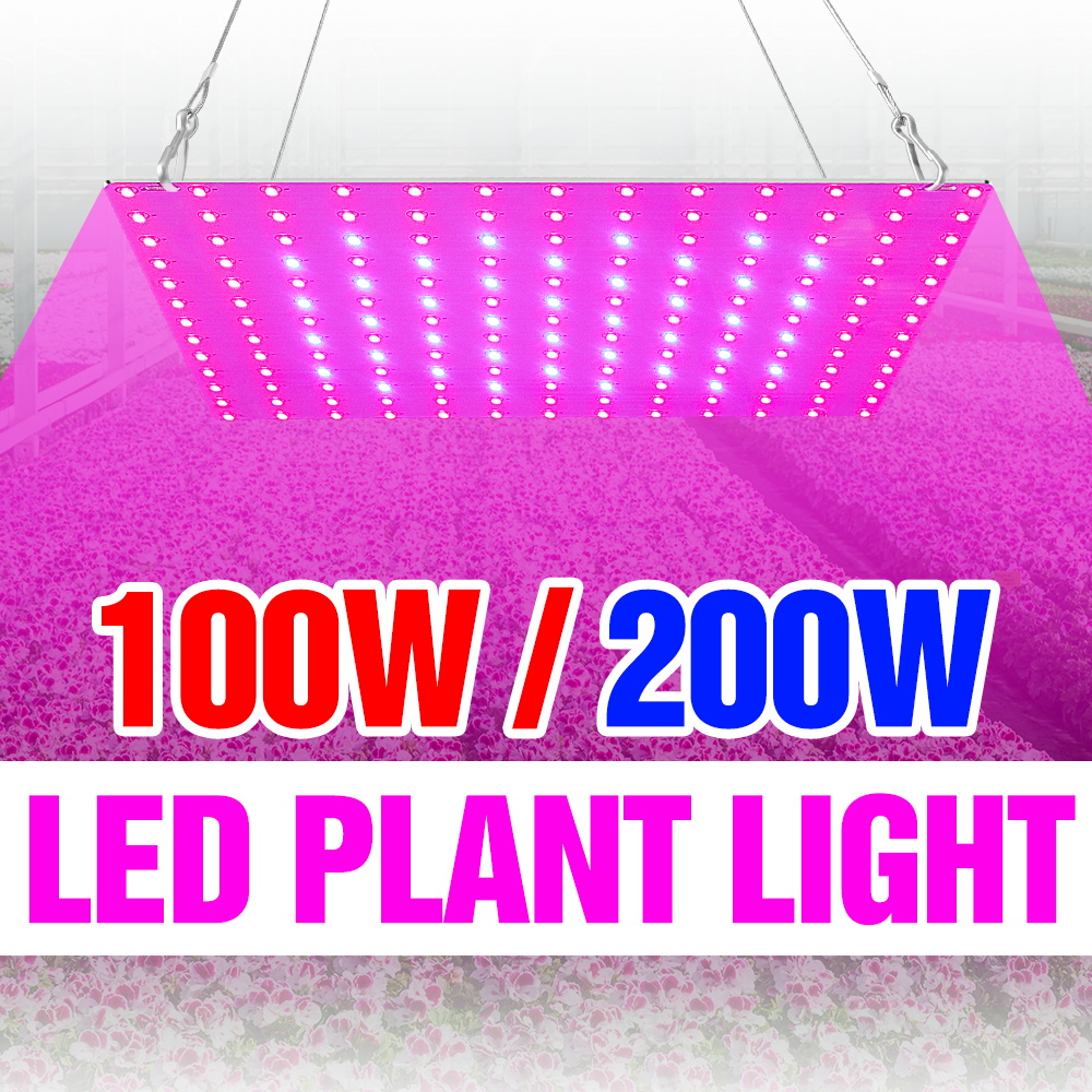 200W LED Full Spectrum Plant Lamp 100-277V Quantum Board Hydroponic Growth Box Fill Light Greenhouse Vegs Cultivation Lighting
