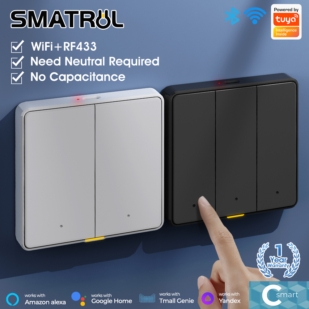 Tuya Smart Switch EU Wall Light Button Switch 110-250v WIFI RF433 TypeC Neutral Wire Timing Voice App Alexa, Home