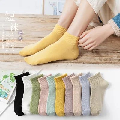 Pack Of 5 Pairs Candy Colour Socks For Women