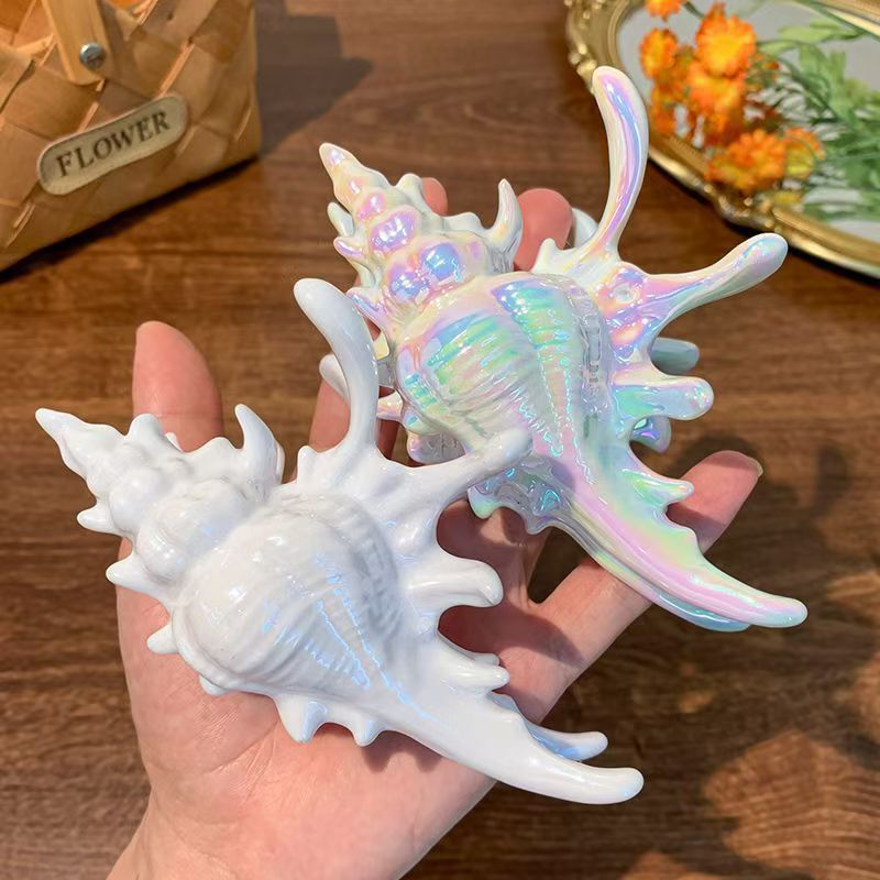 1/2 Pcs Women's Hair Claw Conch Cute Sweet Fashionable Personalized Versatile Hair Claws High Quality Hair Accessories For Girl