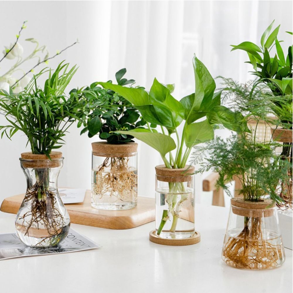 Transparent Hydroponic Flower Pot Green Plant Creative Mini Terrarium Potted Soilless Home Glass Vase