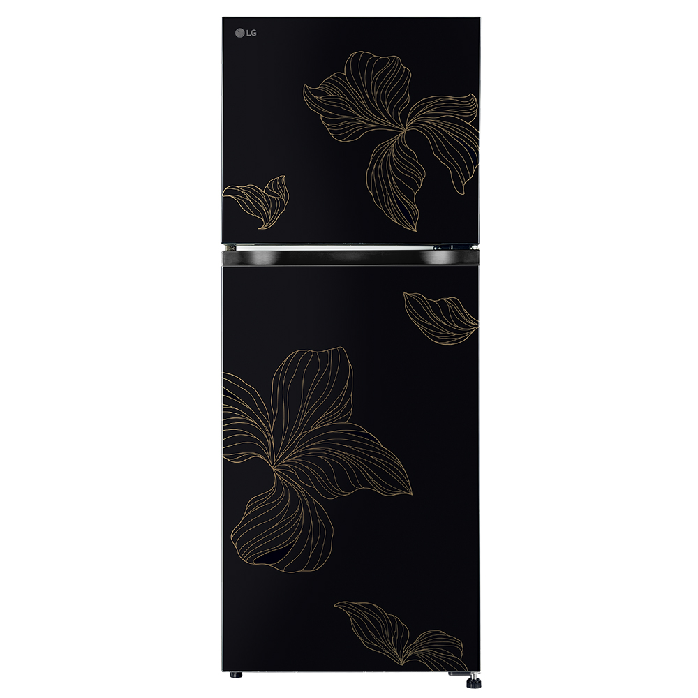 LG 238 Liter Double Door Refrigerator | Model: GLM250BROI.AROQ | 2 Years Comprehensive Warranty, Including 10 Years on Compressor