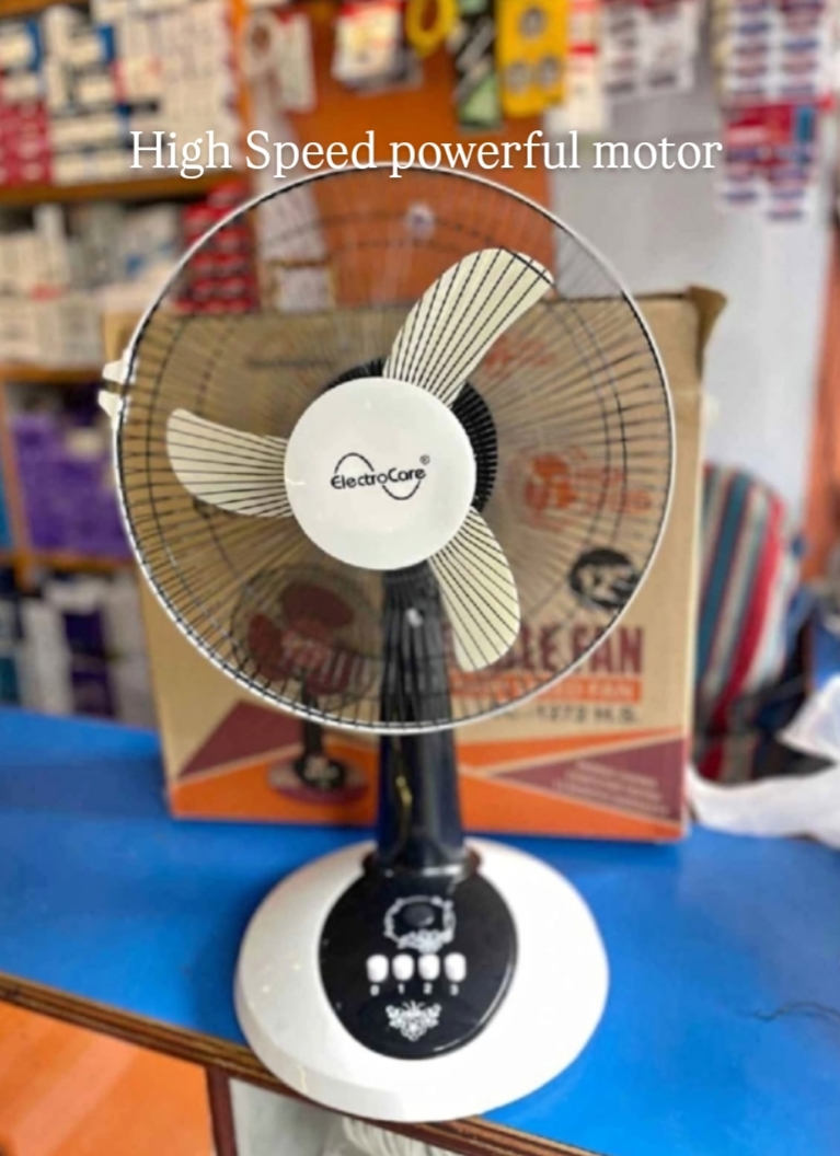 Electrocare Fan 12 Inches High Speed