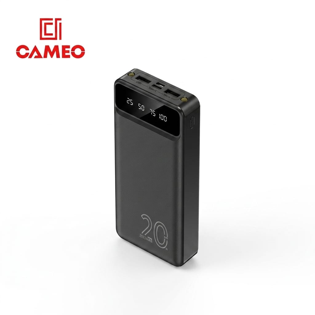Cameo PB102 20000 mAh Powerbank with LED Torch Charging Type C and Micro USB Input Ports