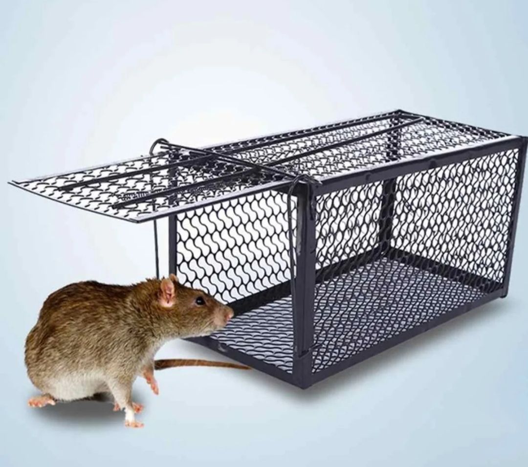Rat Mouse Rodent Live Trap Hamster Cage, Museri