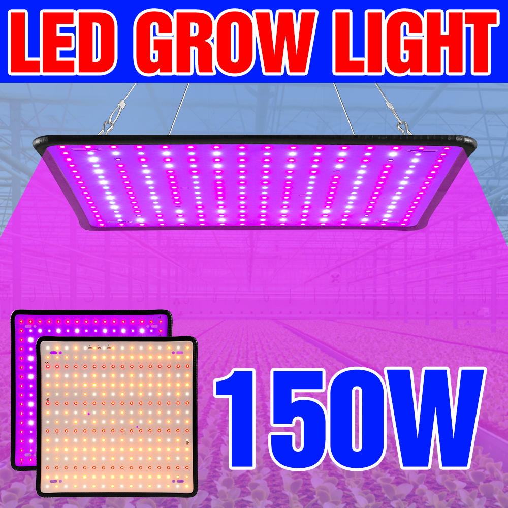 150W LED Full Spectrum Grow Lights Quantum Board Cultivation Lamp US/EU Plug For Indoor Flower Greenhouse Tent Vegetables Fruit