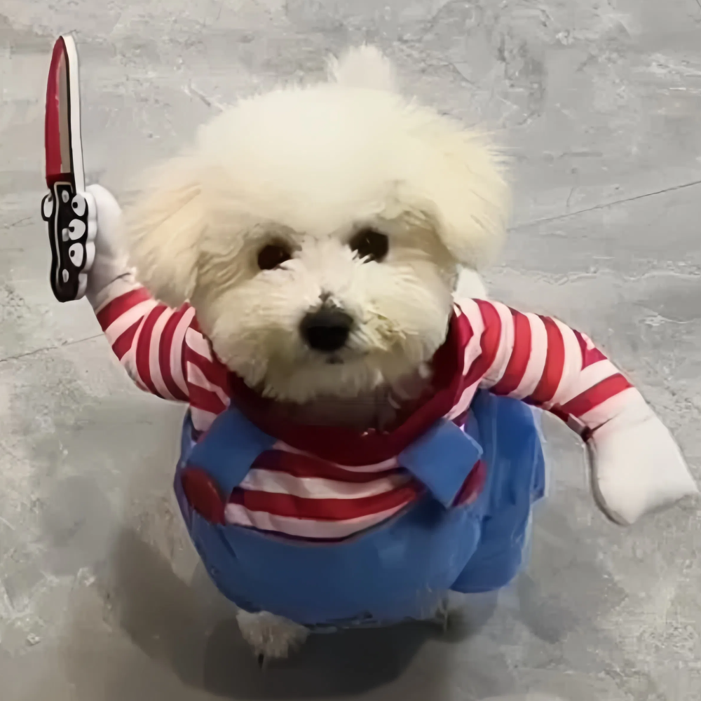 Dog Cosplay Costume For Small Medium Large Dogs Cats Halloween Party Dress Outfits Cute Dog Jacket Labrador Bulldog Pet Clothes