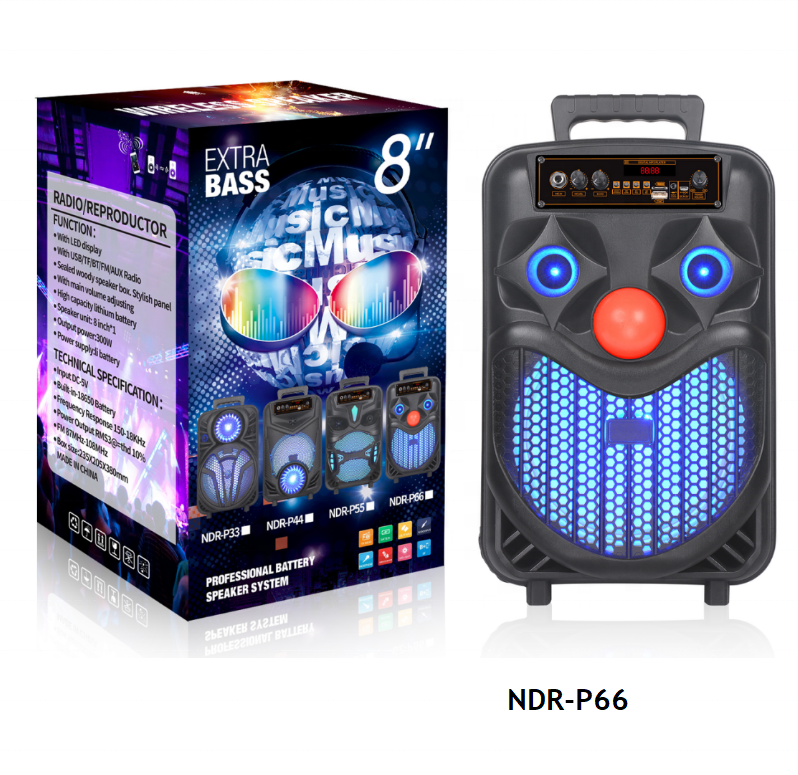 Big Sound 8 inch Rechargeable Portable Bluetooth Party Speaker With Wired Mic , Remote
