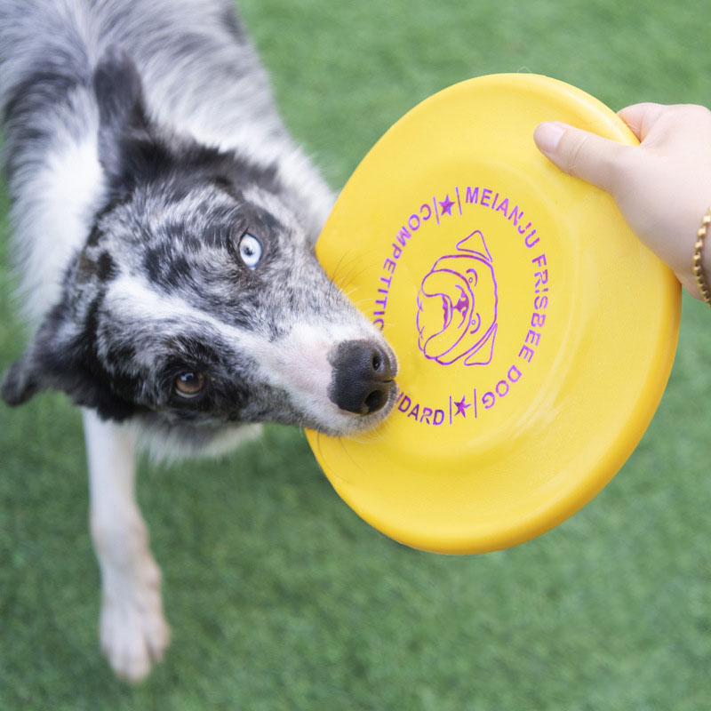 Bite Resistant Soft Dog Flying Disc Floating Water Throw Toy Pet Training Disk Interactive Play for Puppy Small Medium Large