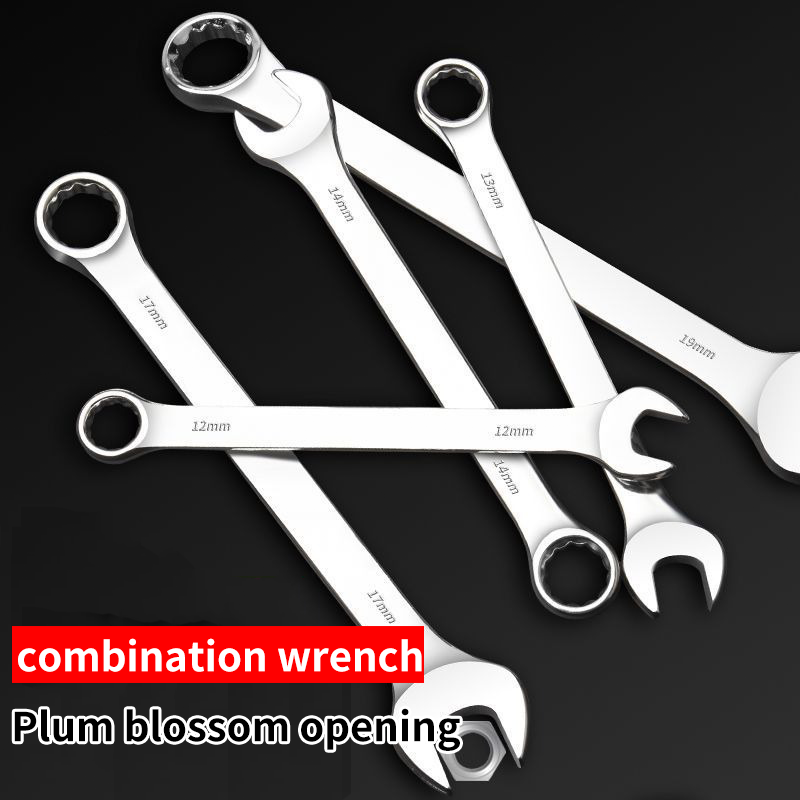 Adjustable Wrench Set, Metric Spanner, Open End & Combination Wrench for Auto & Bicycle Repair