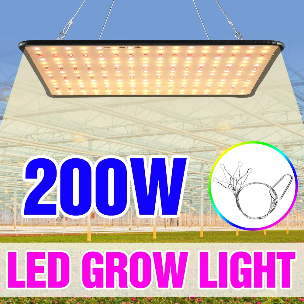 200W LED Quantum Board Plant Fill Lamp Full Spectrum Grow Lights Greenhouse Tent Indoor Vegetables Potted Hydroponics Lighting