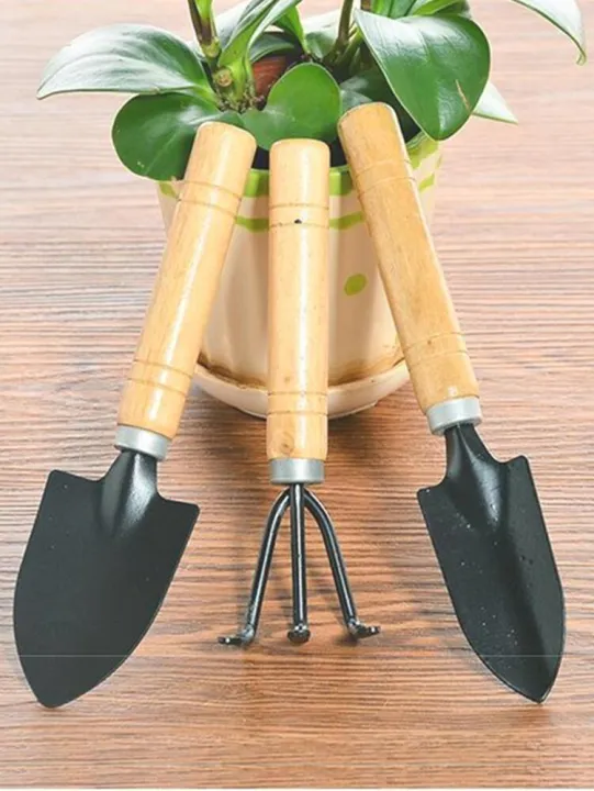 Trowel And Fork 3 in 1 Garden Tool Combo