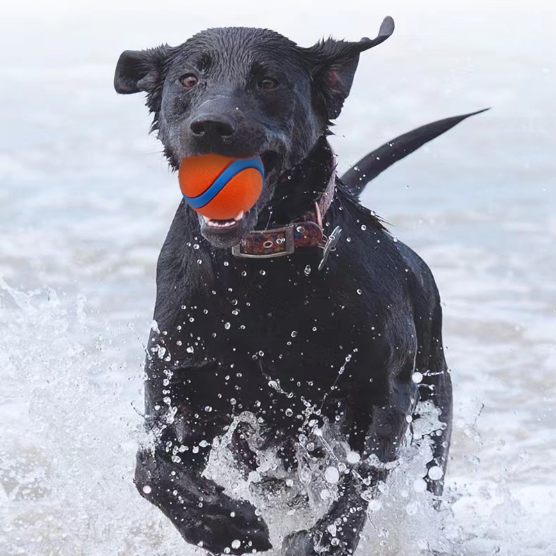 Tough Dog Toy Ball Chew Proof Elastic Jumping Fetch Ball for Large Medium Small Dogs Puppy Pet Chew Toy Pet Accessories