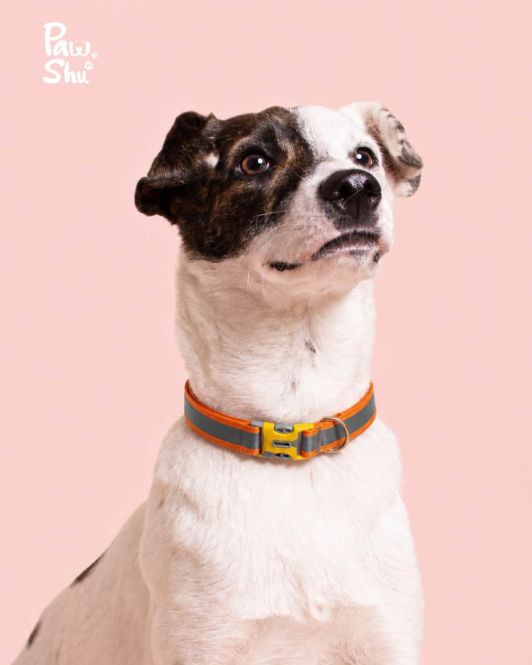 Red Glow in the Dark Reflective Pet Collar | Adjustable Pet Collar | Made in Nepal