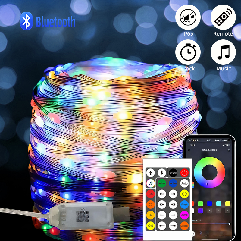DIY DC 5V WS2812B Led Garden Lights String RGBIC Addressable Fairy Lights Bluetooth Wedding, Festival, Party Decor