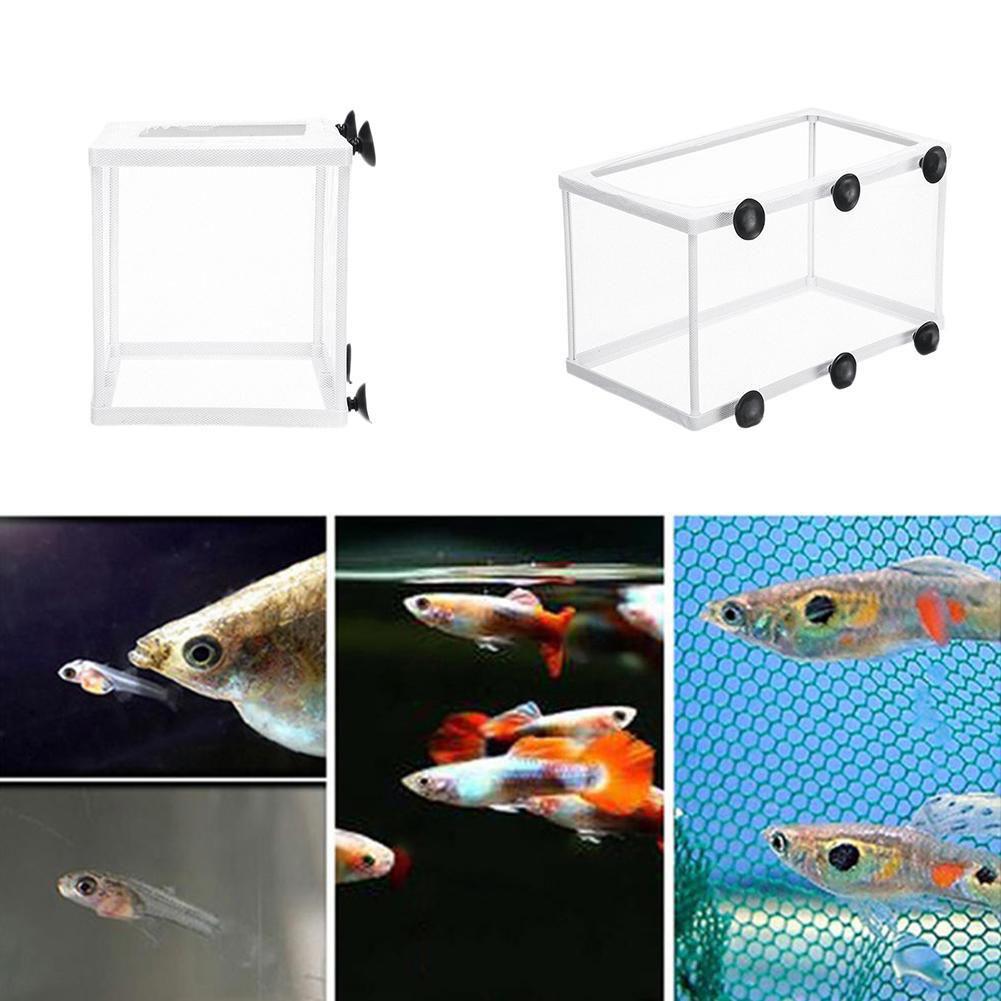 Fish Tank Breeder Net Mesh Fish Breeder Box Fish Hatchery Box Separation Net Incubator Mesh Fish Breeding Box With Suction Cup